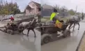 Situație ieșită din comun la Cărpineni: o căruță a trecut prin betonul proaspăt turnat și a lăsat urme adânci. Primăria a depus o plângere la poliție - VIDEO