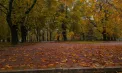 Început de weekend cu ploi și cer noros în toată Moldova. Câte grade vor indica termometrele