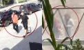 Patru moldoveni și un ucrainean, reținuți pentru 72 de ore: sunt vizați într-un dosar de escrocherie de peste un milion de lei. Unde ajungeau banii - VIDEO