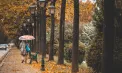 Va ploua în unele regiuni ale Republicii Moldova: temperaturile vor ajunge până la 14 grade. Cum va fi vremea în weekend