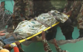 Bilantul cutremurului din Nepal: peste 3.600 de morti si 6.500 de raniti - VIDEO