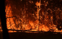 Stare de alerta in Ucraina. Un incendiu de vegetatie se extinde spre centrala nucleara Cernobil - VIDEO