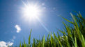 Vara incepe in forta. Ce maxime anunta meteorologii in urmatoarele 7 zile