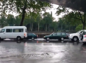 Inundatii devastatoare in Tbilisi! Ursi, hipopotam si... crocodili, pe strazi dupa ce gradina zoologica in care se aflau a fost distrusa - VIDEO