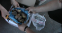 Marfa de pana la 3 milioane de dolari urma sa fie scoasa ilegal din tara de pe Aeroportul International Chisinau - VIDEO