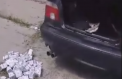 Un moldovean, retinut pentru transportarea ilegala a peste 7000 de TIGARETE. Locul unde a incercat barbatul sa ascunda pachetele - VIDEO