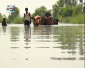 Cu natura nu te pui: Vremea trece dintr-o extrema in alta. Daca in Europa codul galben de canicula se mentine, atunci in unele tari din Orientul Mijlociu ploua de cateva zile - VIDEO