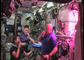 Salata din ... spatiu: Astronautii au gustat o salata cultivata chiar in spatiu - VIDEO