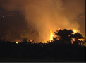 Incendii de proportii in Portugalia: Populatia, indemnata sa isi paraseasca casele - VIDEO