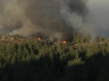 Portugalia lupta cu incendiile: Autoritatile spun ca unele din ele are fi fost provocate de oameni - VIDEO