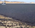 Americanii au gasit solutia contra evaporarii apei: Sute de mii de bile negre au acoperit suprafata unui lac din California, formand o bariera de protectie in fata soarelui - VIDEO