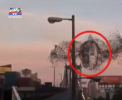 Chipul lui Putin in zborul unei pasari. Filmuletul care a incitat internautii - VIDEO