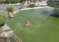 Temperaturi inalte in Asia: Peste 90 de persoane au murit sub temperaturile de 47 de grade Celsius - VIDEO