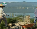 Imagini dezastruoase in Mexic: Pescarii au scos 40 de tone de peste mort dintr-un lac - VIDEO
