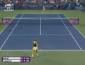 Turneul de la Cincinnati va avea doua megafinale. In concursul feminin, Simona Halep va juca impotriva Serenei Williams, iar la masculin se vor duela Novak Djokovic si Roger Federer - VIDEO