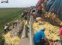 Un camion plin cu pui s-a rasturnat intr-o provincie din vestul Chinei: Sute de pasari au fost imprastiate pe drum, spre bucuria localnicilor - VIDEO