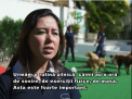 "Gradinite" pentru caini: Pentru acest rasfat oamenii trebuie sa scoata din buzunare o suma frumusica - VIDEO