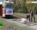 Un tramvai poate fi urnit din loc si de o femeie! A demonstrat-o cu succes o tanara din Rusia care a tras in spate o greutate de 17 tone - VIDEO