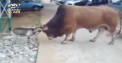 Poti sa obtii ce vrei, daca lupti suficient de mult. Filmuletul care arata ca ATITUDINEA conteaza