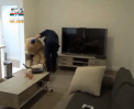 Urs, plin cu pistoale: Un tanar dinSydnei, RETINUT pentru jucaria sa - VIDEO