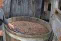 Au intrat in beci si nu au mai iesit: Doi barbati au murit, INTOXICATI cu dioxid de carbon emanat de la fermentarea vinului - VIDEO