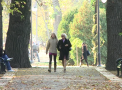 VIDEO - Codul galben de ingheturi si-a intrat pe deplin in drepturi. Ce temperaturi vom avea in urmatoarele zile