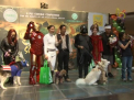 Halloween-ul animalelor in Filipine. In ce au fost deghizati patrupezii - VIDEO