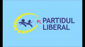 Liberalii nu vor vota motiunea de cenzura impotriva Guvernului Strelet