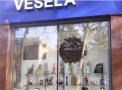 Poetii de rand cu vesela: Doua placi comemorative ale doua personalitati de la noi au ajuns in vitrina unui magazin - VIDEO