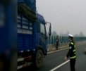 Participanti neobisnuiti in traficul de pe o autostrada din China: Soferii au chemat politia - VIDEO