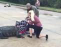 Musafir neasteptat: Un aligator a aparut intr-o parcare din Texas. Prinderea reptilei nu a fost floare la ureche - VIDEO
