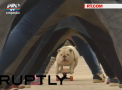 Record neobisnuit in Peru: Un caine a reusit, in 10 secunde, sa treaca cu un skateboard sub picioarele a 30 de oameni - VIDEO