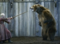 Secretele din spatele scenelor cu ursi din Game of Thrones sau Legendele Toamnei. Familia care creste vedete de 650 de kg