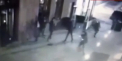 Impuscaturi in fata unui bar din Moscova: Doua persoane au murit, alte opt - ranite. Imagini de pe camera de supraveghere - VIDEO