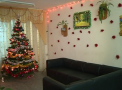 In unele camine studentii nu au conditii de trai elementare, iar in altele se intrec la decoratiuni. Cum arata cel mai frumos camin decorat de Craciun - VIDEO