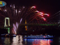 2016 a venit: Unele tari deja au zis bun venit noului an - VIDEO