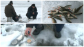 Sambata perfecta pentru... pescari: cei mai curajosi au testat gheata de pe iazuri: "Mai bine la pescuit te odihnesti decat acasa sa te certi cu femeia" - VIDEO