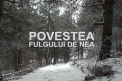 Povestea fulgului de nea