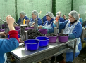 Nuci si fructe uscate din Moldova - pentru europeni. Afecerea BIO a unui barbat. Noul produs, mandria sa - lichiorul cu diferite arome - VIDEO