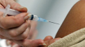 Cercetari pentru un VACCIN contra virusului Zika 