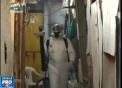 Virusul Zika face primele victime: Trei persoane infectate, au murit - VIDEO