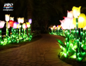 Dubaiul a inaugurant cel mai mare parc cu lumini din lume - VIDEO
