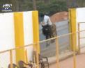 Panica intr-o scoala din India. Un leopard a patruns in institutie si a ranit 6 persoane - VIDEO