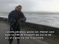 O furtuna puternica a lovit vestul Europei. Rafalele de vant au atins 150 km/h in Marea Britanie, unde un om e dat disparut si aproape 15 mii de familii au ramas fara lumina - VIDEO
