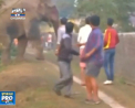 Alarma intr-un oras din India! Un elefant ratacit a distrus aproape 100 de case - VIDEO