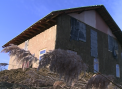 A stat 10 ani in India si a venit in Moldova cu ideea unei case ecologice: O locuinta din paie. Cum arata aceasta  - VIDEO