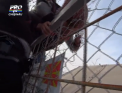 Situatie tensionata la frontiera dintre Grecia si Macedonia. Zeci de imigranti au rupt gardul de sarma, dar au fost opriti de fortele de ordine - VIDEO