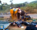 Dezastru in timpul unui eveniment cultural si religios din India: Un ELEFANT a distrus peste 30 de automobile - VIDEO
