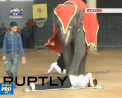 Show cu elefanti dresati din Talianda: Cei mai curajosi spectatori s-au lasat pipaiti de animal - VIDEO