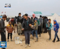 O noua runda de discutii la Geneva in privinta razboiului din Siria "Sustinem ferm eforturile Natiunilor Unite si asteptam cu nerabdare reluarea discutiilor" - VIDEO
